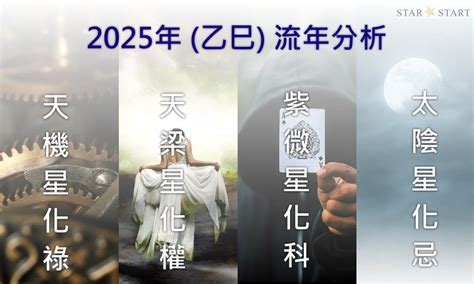 流年星|2025年，乙巳年，紫微斗數流年運勢分析，詳細介。